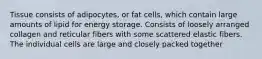 Tissue consists of adipocytes, or fat cells, which contain large amounts of lipid for energy storage. Consists of loosely arranged collagen and reticular fibers with some scattered elastic fibers. The individual cells are large and closely packed together