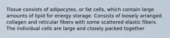 Tissue consists of adipocytes, or fat cells, which contain large amounts of lipid for energy storage. Consists of loosely arranged collagen and reticular fibers with some scattered elastic fibers. The individual cells are large and closely packed together