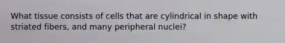 What tissue consists of cells that are cylindrical in shape with striated fibers, and many peripheral nuclei?