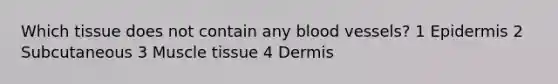 Which tissue does not contain any blood vessels? 1 Epidermis 2 Subcutaneous 3 Muscle tissue 4 Dermis