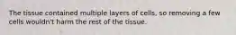 The tissue contained multiple layers of cells, so removing a few cells wouldn't harm the rest of the tissue.