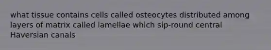 what tissue contains cells called osteocytes distributed among layers of matrix called lamellae which sip-round central Haversian canals