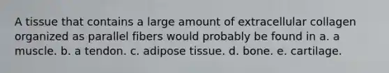 A tissue that contains a large amount of extracellular collagen organized as parallel fibers would probably be found in a. a muscle. b. a tendon. c. adipose tissue. d. bone. e. cartilage.