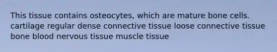 This tissue contains osteocytes, which are mature bone cells. cartilage regular dense connective tissue loose connective tissue bone blood nervous tissue muscle tissue