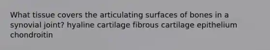 What tissue covers the articulating surfaces of bones in a synovial joint? hyaline cartilage fibrous cartilage epithelium chondroitin