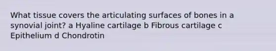 What tissue covers the articulating surfaces of bones in a synovial joint? a Hyaline cartilage b Fibrous cartilage c Epithelium d Chondrotin