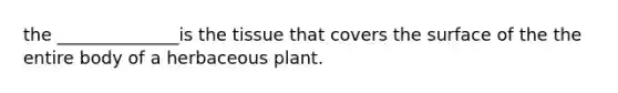 the ______________is the tissue that covers the surface of the the entire body of a herbaceous plant.