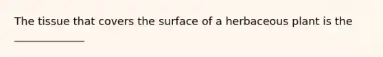 The tissue that covers the surface of a herbaceous plant is the _____________