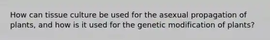 How can tissue culture be used for the asexual propagation of plants, and how is it used for the genetic modification of plants?