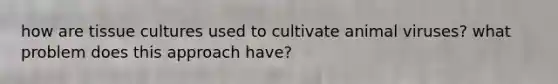 how are tissue cultures used to cultivate animal viruses? what problem does this approach have?