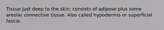 Tissue just deep to the skin; consists of adipose plus some areolar connective tissue. Also called hypodermis or superficial fascia.