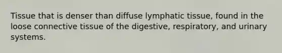 Tissue that is denser than diffuse lymphatic tissue, found in the loose connective tissue of the digestive, respiratory, and urinary systems.