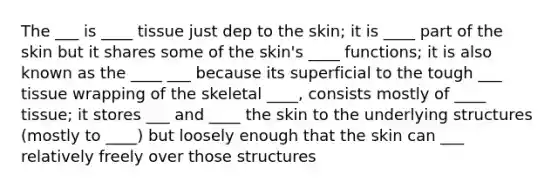 The ___ is ____ tissue just dep to the skin; it is ____ part of the skin but it shares some of the skin's ____ functions; it is also known as the ____ ___ because its superficial to the tough ___ tissue wrapping of the skeletal ____, consists mostly of ____ tissue; it stores ___ and ____ the skin to the underlying structures (mostly to ____) but loosely enough that the skin can ___ relatively freely over those structures