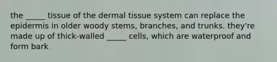 the _____ tissue of the dermal tissue system can replace the epidermis in older woody stems, branches, and trunks. they're made up of thick-walled _____ cells, which are waterproof and form bark