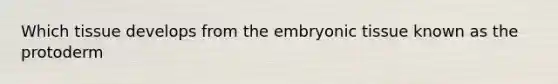 Which tissue develops from the embryonic tissue known as the protoderm