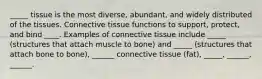 _____ tissue is the most diverse, abundant, and widely distributed of the tissues. Connective tissue functions to support, protect, and bind ____. Examples of connective tissue include _____ (structures that attach muscle to bone) and _____ (structures that attach bone to bone), ______ connective tissue (fat), _____, ______, ______.