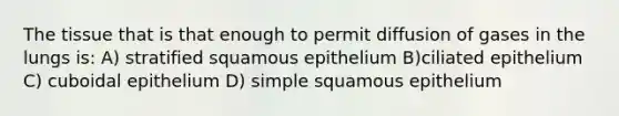 The tissue that is that enough to permit diffusion of gases in the lungs is: A) stratified squamous epithelium B)ciliated epithelium C) cuboidal epithelium D) simple squamous epithelium