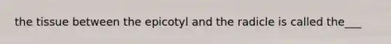 the tissue between the epicotyl and the radicle is called the___