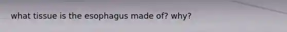 what tissue is the esophagus made of? why?