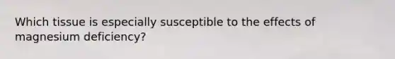 Which tissue is especially susceptible to the effects of magnesium deficiency?