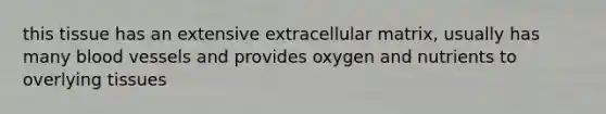 this tissue has an extensive extracellular matrix, usually has many blood vessels and provides oxygen and nutrients to overlying tissues