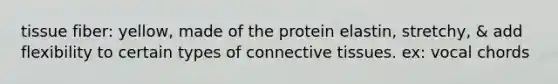 tissue fiber: yellow, made of the protein elastin, stretchy, & add flexibility to certain types of connective tissues. ex: vocal chords