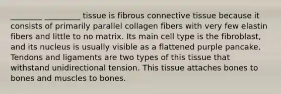 ________ _________ tissue is fibrous connective tissue because it consists of primarily parallel collagen fibers with very few elastin fibers and little to no matrix. Its main cell type is the fibroblast, and its nucleus is usually visible as a flattened purple pancake. Tendons and ligaments are two types of this tissue that withstand unidirectional tension. This tissue attaches bones to bones and muscles to bones.