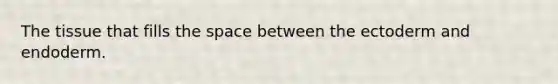 The tissue that fills the space between the ectoderm and endoderm.