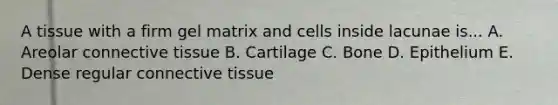 A tissue with a firm gel matrix and cells inside lacunae is... A. Areolar connective tissue B. Cartilage C. Bone D. Epithelium E. Dense regular connective tissue