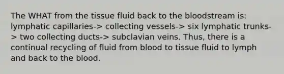 The WHAT from the tissue fluid back to <a href='https://www.questionai.com/knowledge/k7oXMfj7lk-the-blood' class='anchor-knowledge'>the blood</a>stream is: lymphatic capillaries-> collecting vessels-> six lymphatic trunks-> two collecting ducts-> subclavian veins. Thus, there is a continual recycling of fluid from blood to tissue fluid to lymph and back to the blood.