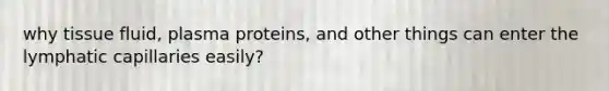 why tissue fluid, plasma proteins, and other things can enter the lymphatic capillaries easily?