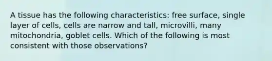 A tissue has the following characteristics: free surface, single layer of cells, cells are narrow and tall, microvilli, many mitochondria, goblet cells. Which of the following is most consistent with those observations?