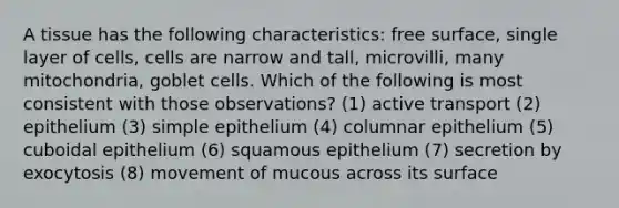 A tissue has the following characteristics: free surface, single layer of cells, cells are narrow and tall, microvilli, many mitochondria, goblet cells. Which of the following is most consistent with those observations? (1) active transport (2) epithelium (3) simple epithelium (4) columnar epithelium (5) cuboidal epithelium (6) squamous epithelium (7) secretion by exocytosis (8) movement of mucous across its surface