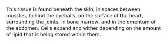 This tissue is found beneath the skin, in spaces between muscles, behind the eyeballs, on the surface of the heart, surrounding the joints, in bone marrow, and in the omentum of the abdomen. Cells expand and wither depending on the amount of lipid that is being stored within them.