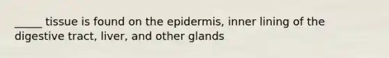 _____ tissue is found on the epidermis, inner lining of the digestive tract, liver, and other glands