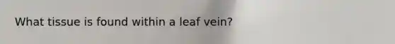 ​What tissue is found within a leaf vein?