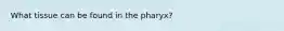 What tissue can be found in the pharyx?