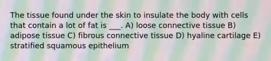 The tissue found under the skin to insulate the body with cells that contain a lot of fat is ___. A) loose connective tissue B) adipose tissue C) fibrous connective tissue D) hyaline cartilage E) stratified squamous epithelium