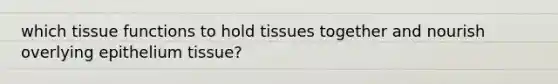 which tissue functions to hold tissues together and nourish overlying epithelium tissue?