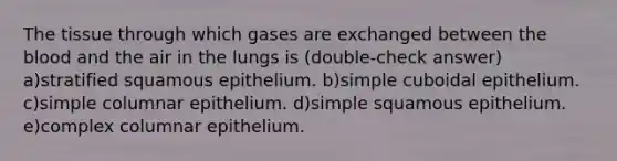 The tissue through which gases are exchanged between the blood and the air in the lungs is (double-check answer) a)stratified squamous epithelium. b)simple cuboidal epithelium. c)simple columnar epithelium. d)simple squamous epithelium. e)complex columnar epithelium.