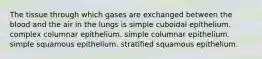 The tissue through which gases are exchanged between the blood and the air in the lungs is simple cuboidal epithelium. complex columnar epithelium. simple columnar epithelium. simple squamous epithelium. stratified squamous epithelium.