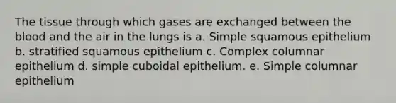 The tissue through which gases are exchanged between <a href='https://www.questionai.com/knowledge/k7oXMfj7lk-the-blood' class='anchor-knowledge'>the blood</a> and the air in the lungs is a. Simple squamous epithelium b. stratified squamous epithelium c. Complex columnar epithelium d. simple cuboidal epithelium. e. Simple columnar epithelium