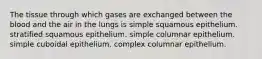 The tissue through which gases are exchanged between the blood and the air in the lungs is simple squamous epithelium. stratified squamous epithelium. simple columnar epithelium. simple cuboidal epithelium. complex columnar epithelium.