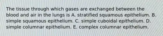 The tissue through which gases are exchanged between the blood and air in the lungs is A. stratified squamous epithelium. B. simple squamous epithelium. C. simple cuboidal epithelium. D. simple columnar epithelium. E. complex columnar epithelium.