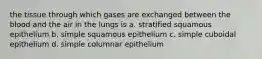 the tissue through which gases are exchanged between the blood and the air in the lungs is a. stratified squamous epithelium b. simple squamous epithelium c. simple cuboidal epithelium d. simple columnar epithelium