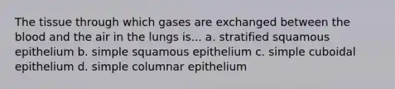 The tissue through which gases are exchanged between the blood and the air in the lungs is... a. stratified squamous epithelium b. simple squamous epithelium c. simple cuboidal epithelium d. simple columnar epithelium