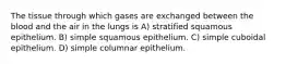 The tissue through which gases are exchanged between the blood and the air in the lungs is A) stratified squamous epithelium. B) simple squamous epithelium. C) simple cuboidal epithelium. D) simple columnar epithelium.