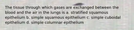 The tissue through which gases are exchanged between the blood and the air in the lungs is a. stratified squamous epithelium b. simple squamous epithelium c. simple cuboidal epithelium d. simple columnar epithelium