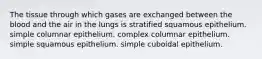 The tissue through which gases are exchanged between the blood and the air in the lungs is stratified squamous epithelium. simple columnar epithelium. complex columnar epithelium. simple squamous epithelium. simple cuboidal epithelium.