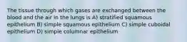 The tissue through which gases are exchanged between the blood and the air in the lungs is A) stratified squamous epithelium B) simple squamous epithelium C) simple cuboidal epithelium D) simple columnar epithelium